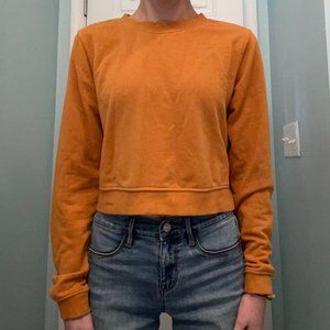 H&M/Divided Crop Crewneck Sweatshirt